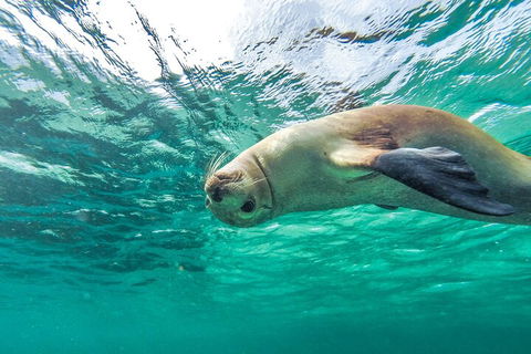 10-Day Adelaide To Perth Adventure Tour - Nambucca Heads Accommodation 1