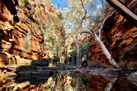 10-Day Adelaide To Perth Adventure Tour - Nambucca Heads Accommodation 5