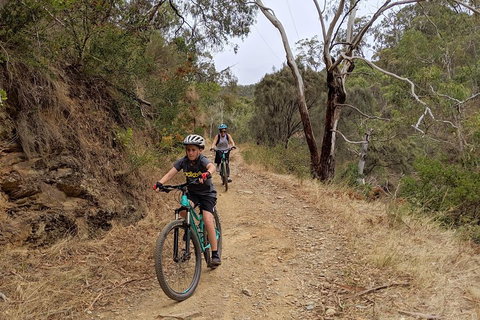 Mount Lofty Descent Bike Tour From Adelaide - Nambucca Heads Accommodation 0