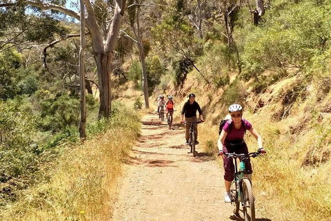 Mount Lofty Descent Bike Tour From Adelaide - Nambucca Heads Accommodation 3