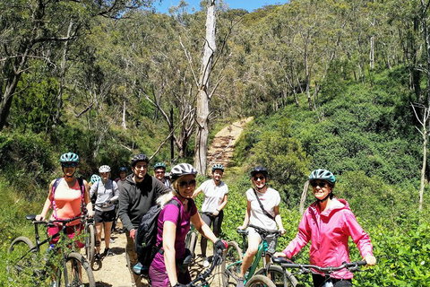 Mount Lofty Descent Bike Tour From Adelaide - Nambucca Heads Accommodation 5