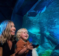SEA LIFE Sunshine Coast Aquarium Entrance Ticket - Nambucca Heads Accommodation