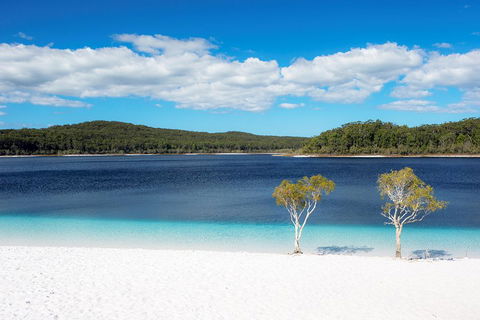 All-Inclusive Fraser Island Day Tour - Nambucca Heads Accommodation 3