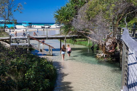 All-Inclusive Fraser Island Day Tour - Nambucca Heads Accommodation 4