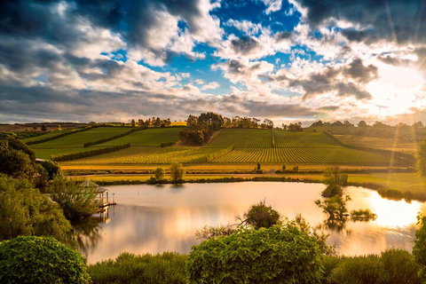 Josef Chromy Wines Winery Tour Including Tasting And Lunch - Nambucca Heads Accommodation 3