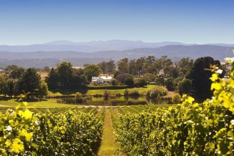 Josef Chromy Wines Winery Tour Including Tasting And Lunch - Nambucca Heads Accommodation 4