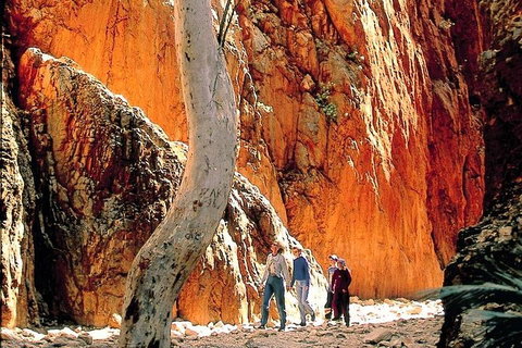 West MacDonnell Ranges Day Trip From Alice Springs - Nambucca Heads Accommodation 3