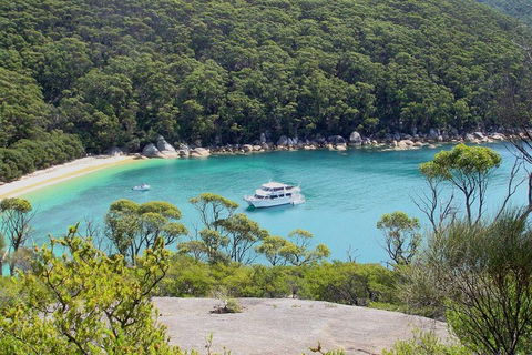 Wilsons Promontory Full Day Cruise - Nambucca Heads Accommodation 2