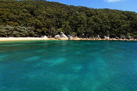 Wilsons Promontory Full Day Cruise - Nambucca Heads Accommodation 4