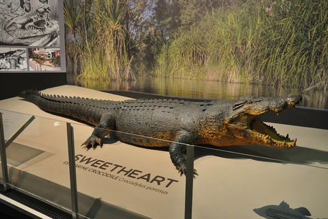 Explore Darwin City Sights Including Key Attractions - Nambucca Heads Accommodation 2