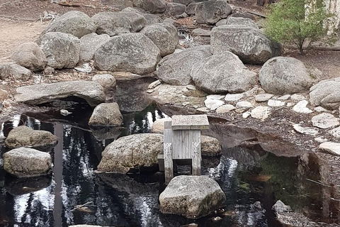 Bendigo, Echuca & The Mighty Murray - Nambucca Heads Accommodation 1
